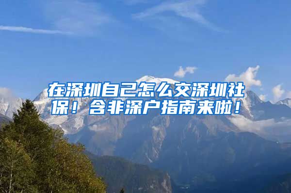 在深圳自己怎么交深圳社保！含非深户指南来啦！