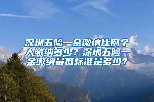 深圳五险一金缴纳比例个人缴纳多少？深圳五险一金缴纳最低标准是多少？