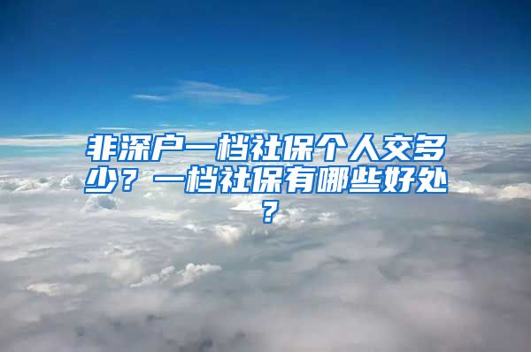 非深户一档社保个人交多少？一档社保有哪些好处？