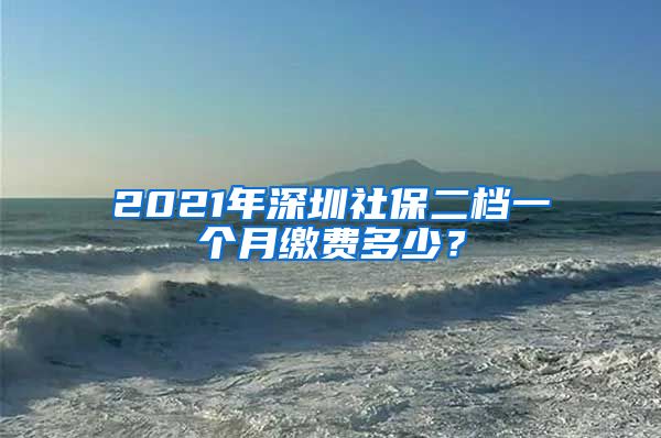 2021年深圳社保二档一个月缴费多少？