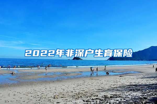 2022年非深户生育保险