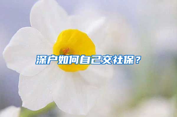 深户如何自己交社保？