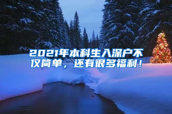 2021年本科生入深户不仅简单，还有很多福利！