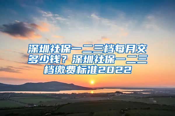 深圳社保一二三档每月交多少钱？深圳社保一二三档缴费标准2022