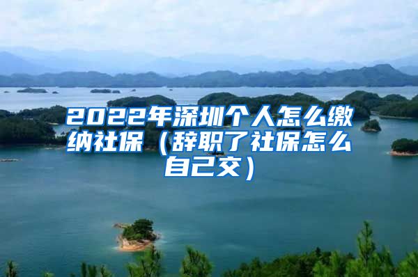 2022年深圳个人怎么缴纳社保（辞职了社保怎么自己交）