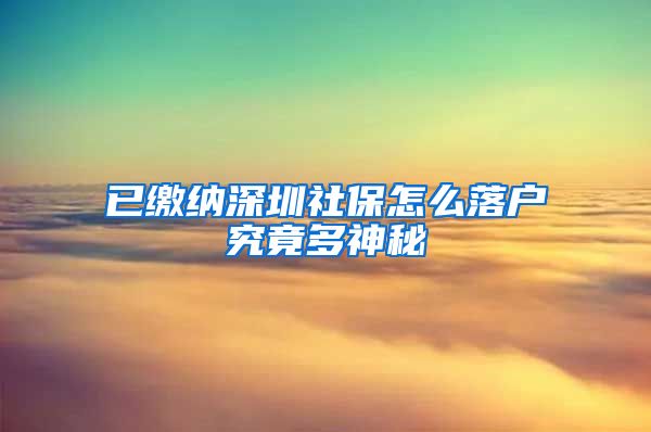 已缴纳深圳社保怎么落户究竟多神秘