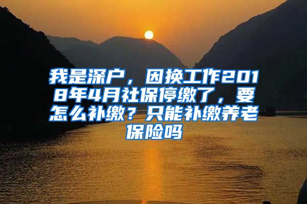 我是深户，因换工作2018年4月社保停缴了，要怎么补缴？只能补缴养老保险吗