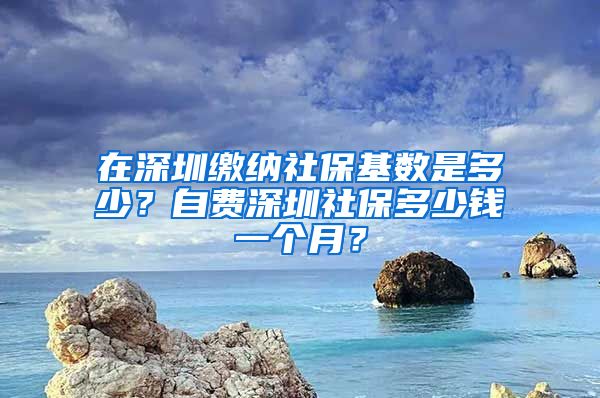 在深圳缴纳社保基数是多少？自费深圳社保多少钱一个月？