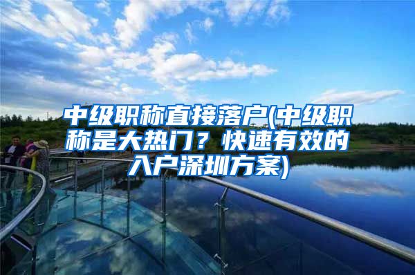 中级职称直接落户(中级职称是大热门？快速有效的入户深圳方案)