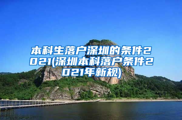 本科生落户深圳的条件2021(深圳本科落户条件2021年新规)