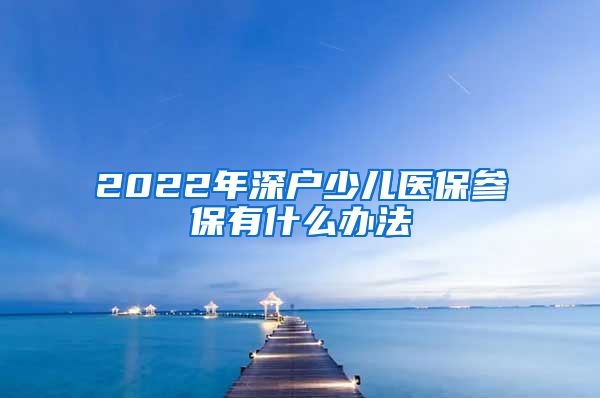 2022年深户少儿医保参保有什么办法