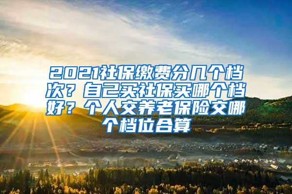 2021社保缴费分几个档次？自己买社保买哪个档好？个人交养老保险交哪个档位合算