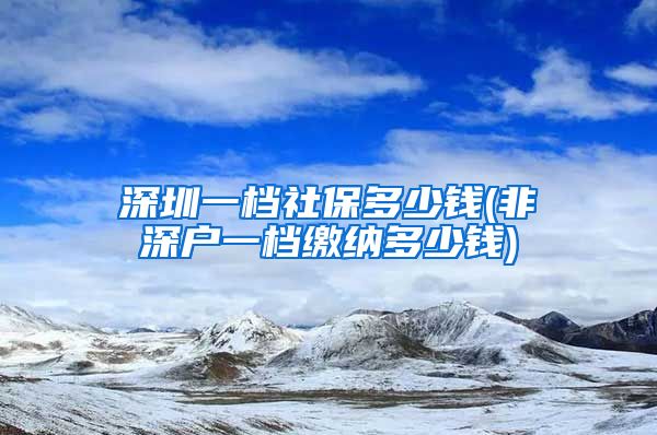 深圳一档社保多少钱(非深户一档缴纳多少钱)