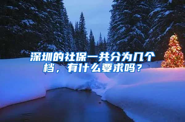 深圳的社保一共分为几个档，有什么要求吗？