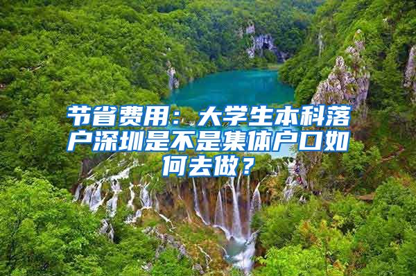 节省费用：大学生本科落户深圳是不是集体户口如何去做？