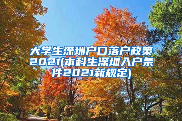 大学生深圳户口落户政策2021(本科生深圳入户条件2021新规定)