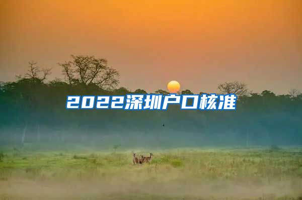 2022深圳户口核准