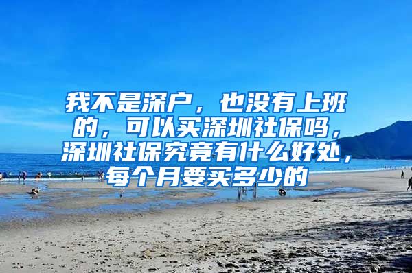 我不是深户，也没有上班的，可以买深圳社保吗，深圳社保究竟有什么好处，每个月要买多少的