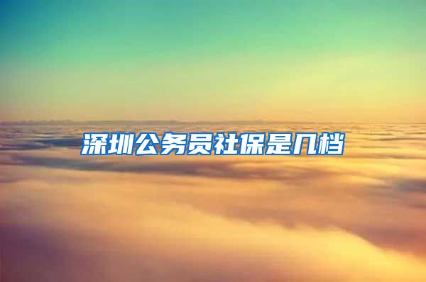 深圳公务员社保是几档