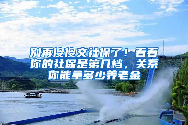 别再傻傻交社保了！看看你的社保是第几档，关系你能拿多少养老金