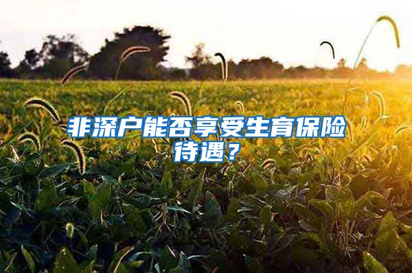 非深户能否享受生育保险待遇？