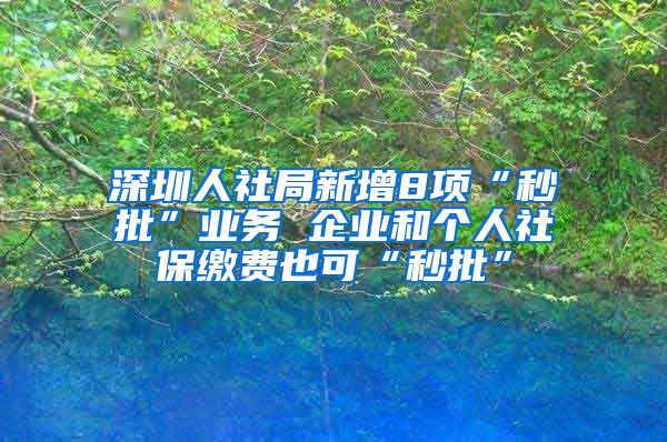 深圳人社局新增8项“秒批”业务 企业和个人社保缴费也可“秒批”