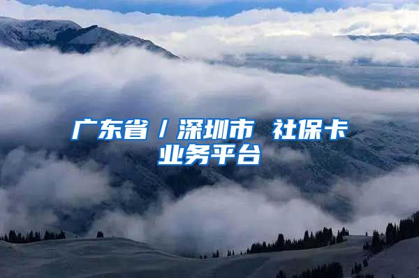 广东省／深圳市 社保卡业务平台