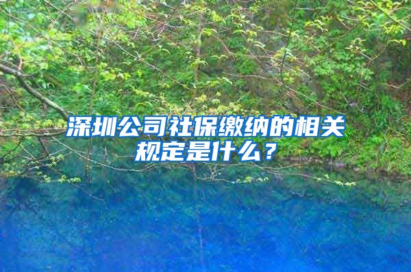 深圳公司社保缴纳的相关规定是什么？