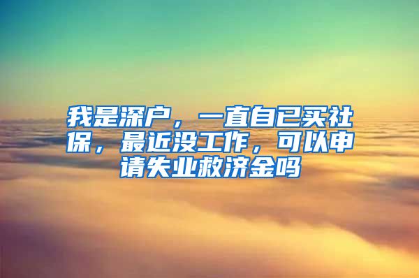 我是深户，一直自已买社保，最近没工作，可以申请失业救济金吗