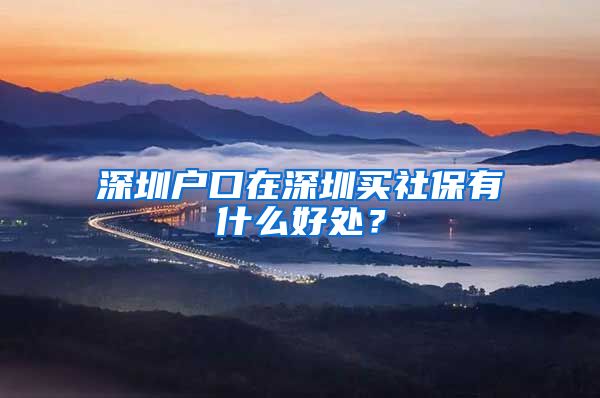 深圳户口在深圳买社保有什么好处？