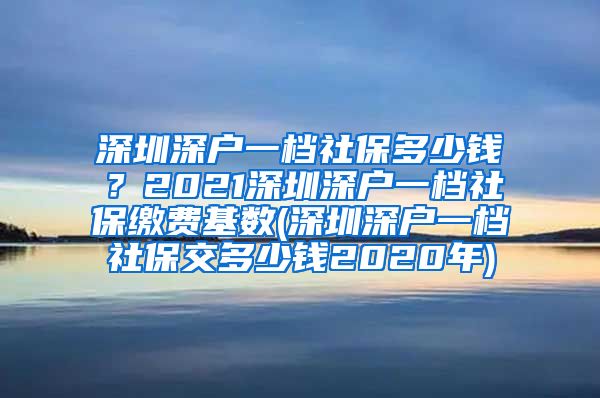 深圳深户一档社保多少钱？2021深圳深户一档社保缴费基数(深圳深户一档社保交多少钱2020年)