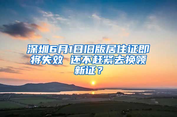 深圳6月1日旧版居住证即将失效 还不赶紧去换领新证？