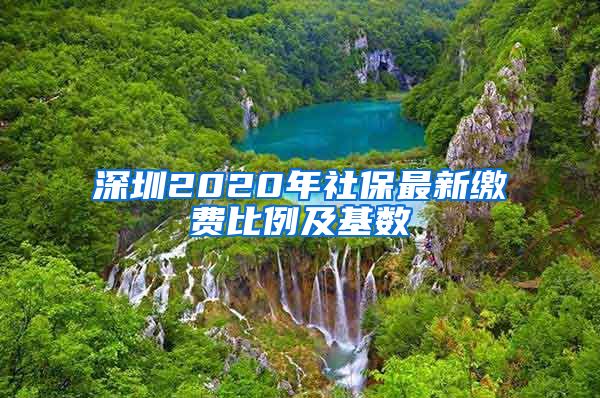 深圳2020年社保最新缴费比例及基数