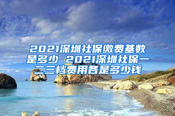 2021深圳社保缴费基数是多少 2021深圳社保一二三档费用各是多少钱