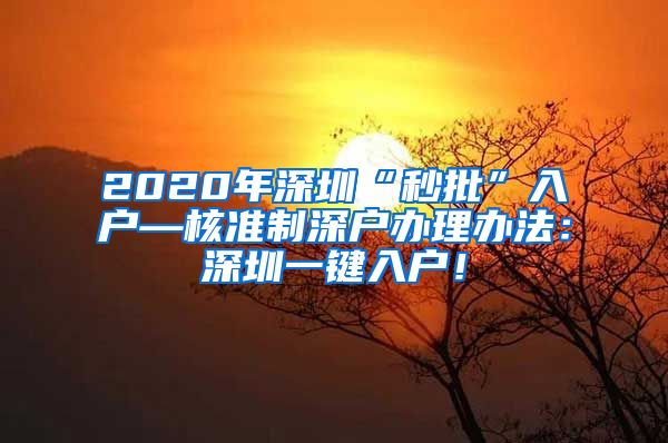 2020年深圳“秒批”入户—核准制深户办理办法：深圳一键入户！