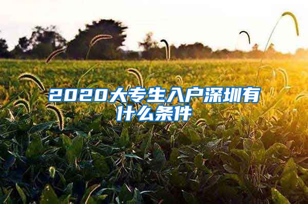 2020大专生入户深圳有什么条件