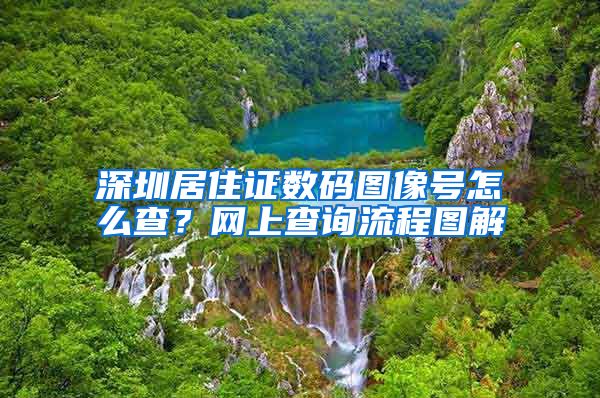 深圳居住证数码图像号怎么查？网上查询流程图解