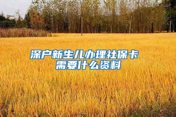 深户新生儿办理社保卡 需要什么资料