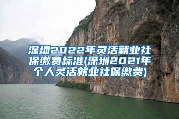 深圳2022年灵活就业社保缴费标准(深圳2021年个人灵活就业社保缴费)