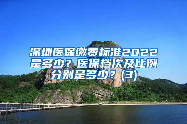 深圳医保缴费标准2022是多少？医保档次及比例分别是多少？(3)