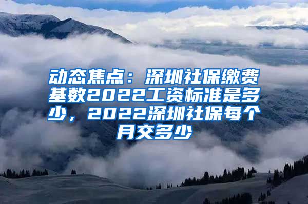 动态焦点：深圳社保缴费基数2022工资标准是多少，2022深圳社保每个月交多少