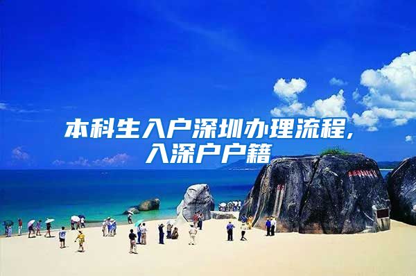 本科生入户深圳办理流程,入深户户籍