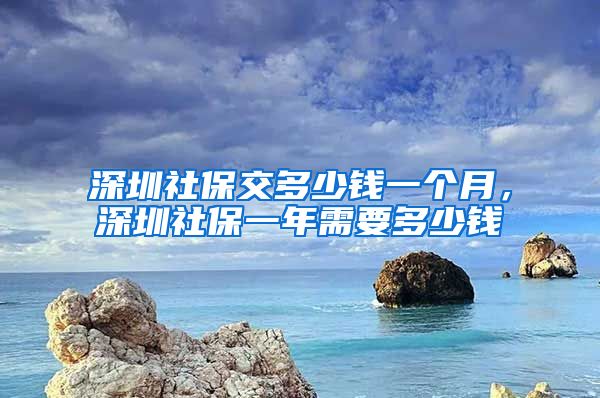 深圳社保交多少钱一个月，深圳社保一年需要多少钱