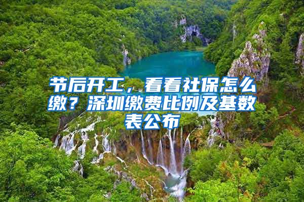 节后开工，看看社保怎么缴？深圳缴费比例及基数表公布