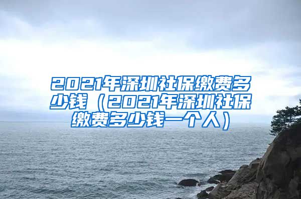 2021年深圳社保缴费多少钱（2021年深圳社保缴费多少钱一个人）