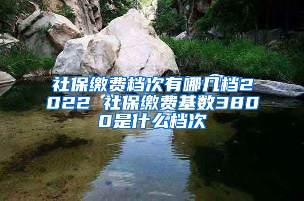 社保缴费档次有哪几档2022 社保缴费基数3800是什么档次