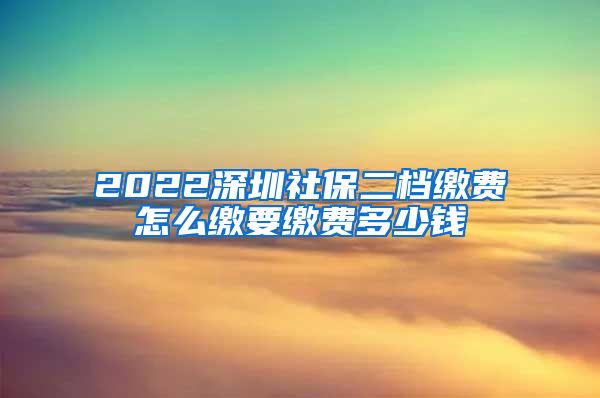 2022深圳社保二档缴费怎么缴要缴费多少钱