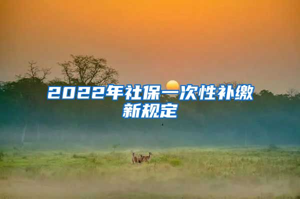 2022年社保一次性补缴新规定