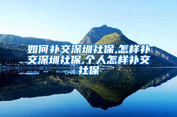 如何补交深圳社保,怎样补交深圳社保,个人怎样补交社保