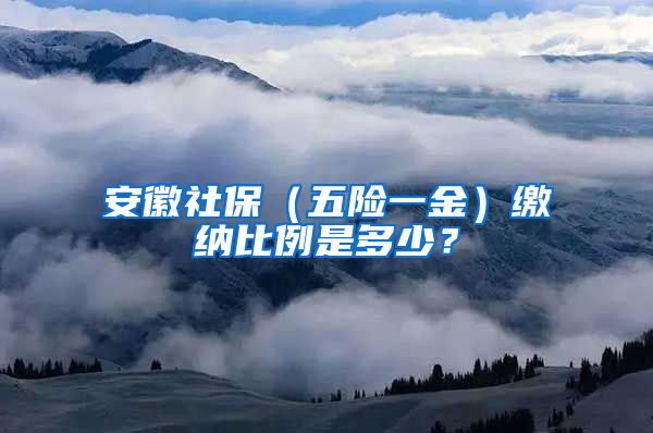 安徽社保（五险一金）缴纳比例是多少？